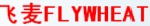 Fly Wheat Automation Equipment （Shanghai）Co., Ltd.